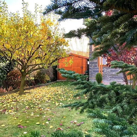 Bonita Con Gran Jardin Osseja